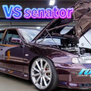 VS SENATOR WHEEL